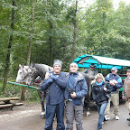 horses cart steve john.jpg horses cart steve john.jpg