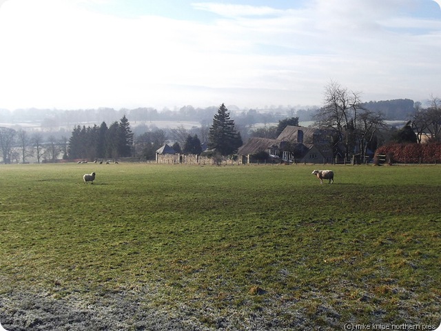 frosty fields at wolsingham