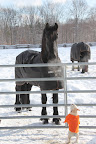 Sasa, maybe you can explain to me why you horses breathe out clouds in cold weather.