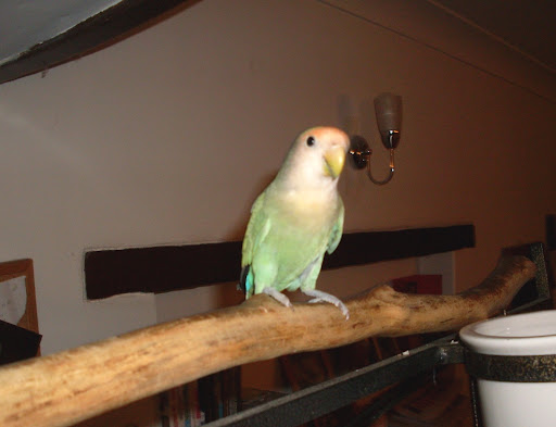 Gallery Photo #34