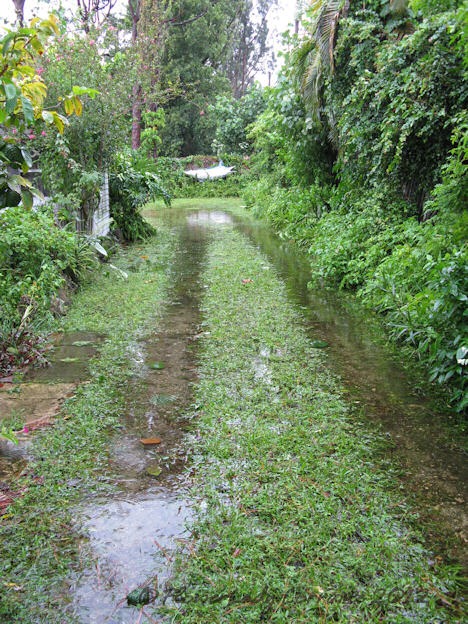 [08-27-isaac-flooding5%255B5%255D.jpg]