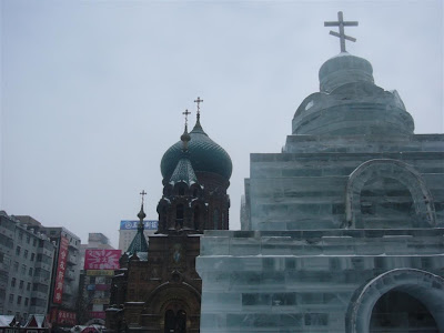 P1010919 (Large).JPG