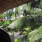 View from our balcony at Hippocampus resort (Malapascua)