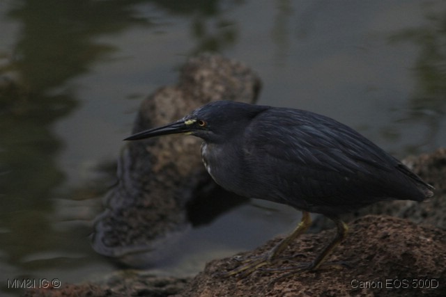 [IMG_1197%255B4%255D.jpg]