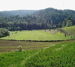 campo campo