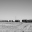 Tianshan - Caravane de camions