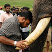 Kumki Shooting Spot Photos