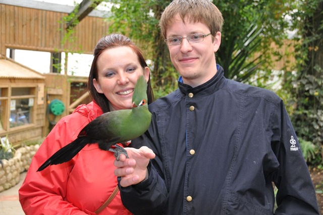 [Christina%2520%2526%2520Paul%2520with%2520Damien%2520%2528Green%2520Crested%2520Touraco%2529%2520resized%2520DSC_1136%255B6%255D.jpg]
