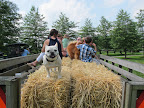 Hayride at the Farm
