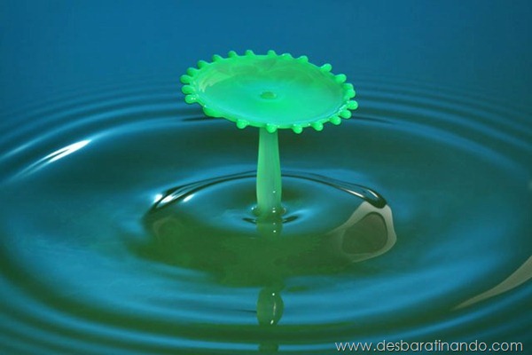 liquid-drop-art-gotas-caindo-foto-velocidade-hora-certa-desbaratinando (29) liquid-drop-art-gotas-caindo-foto-velocidade-hora-certa-desbaratinando (29)