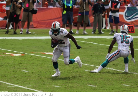 'Dolphins vs. Raiders' photo (c) 2012, June Rivera - license: http://creativecommons.org/licenses/by-sa/2.0/
