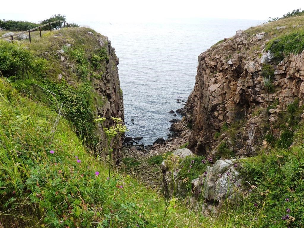 [P1030663-Medium2.jpg]