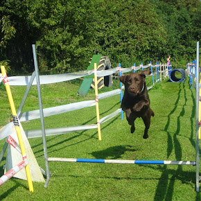 DaSchnallschtInuHund02 DaSchnallschtInuHund02