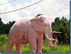 9914 Cross Plains, Tennessee - Pink Elephant with Martini Glass