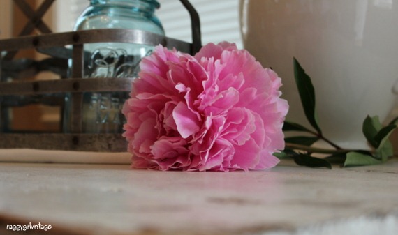 [2012-06-17%252011.36.23%255B11%255D.jpg]