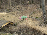 IMG_6892.JPG