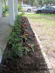 IMG_1821_2