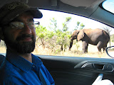 Here's Woody with a close-up view of an elephant! Transition to Madagascar - 021.jpg