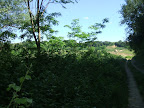 Immagine 014.jpg Immagine 014.jpg