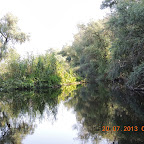 DSCN4461.JPG