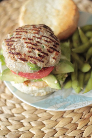 [asianturkeyburgers2.jpg]