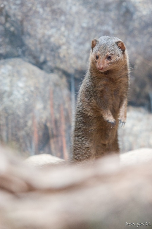 [20120716-IMG_6730%255B9%255D.jpg]