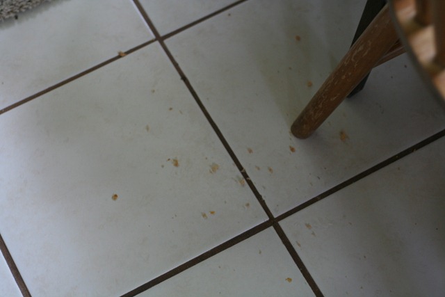 [IMG_5781%255B6%255D.jpg]