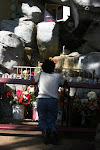 IMG_7297.jpg
