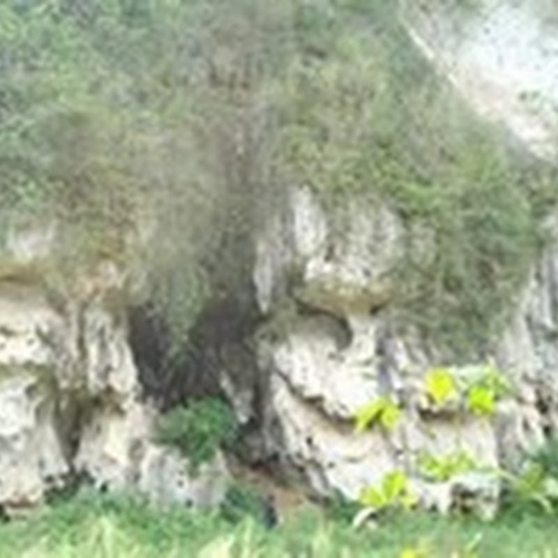 Pelapukan adalah | Pengertian dan definisi Weathering Pelapukan adalah | Pengertian dan definisi Weathering