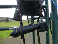 HBR_2012Dec28_026.jpg