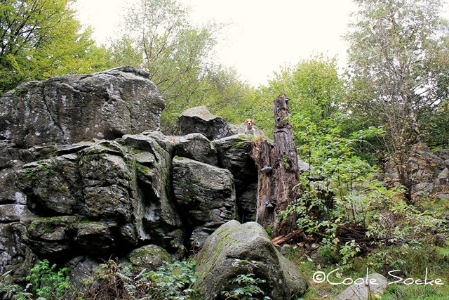 [IMG_5061%255B6%255D.jpg]