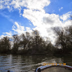IMG_3162.JPG