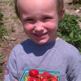 Strawberry Picking - 257970_10150220583226390_600301389_7162714_956798_o.jpg