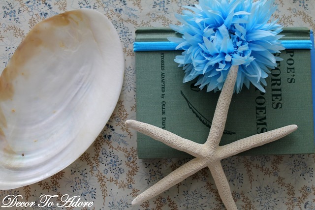 seashells 013-001