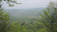 IMG_3508.JPG