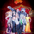 Имя документа33_271.jpg