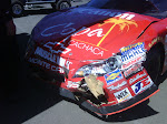 IMG00214-20100619-1439.jpg