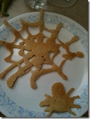 pancake spider