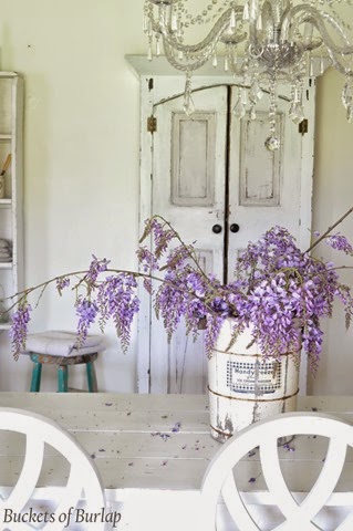 [Wisteria94.jpg]