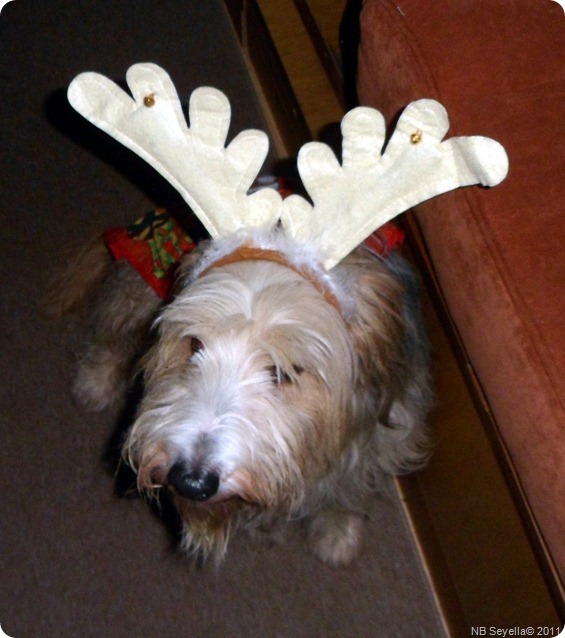 SAM_0001 SAM_0001