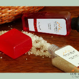 – Amenities – Amenities