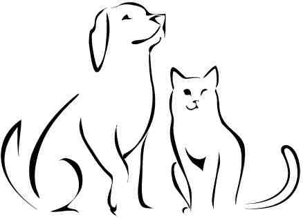 [dogcat%255B8%255D.jpg]