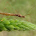 20120807_31