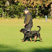 Herbstprüfung 2011 015.JPG