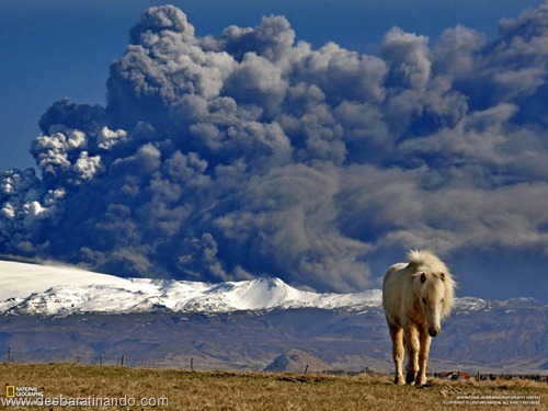 wallpapers national geographic desbaratinando (17)