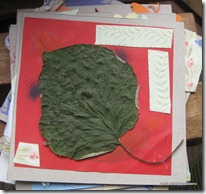 IMG_7952 IMG_7952