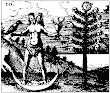 From Mylius Rosarium Philosophorum Manuscript 10