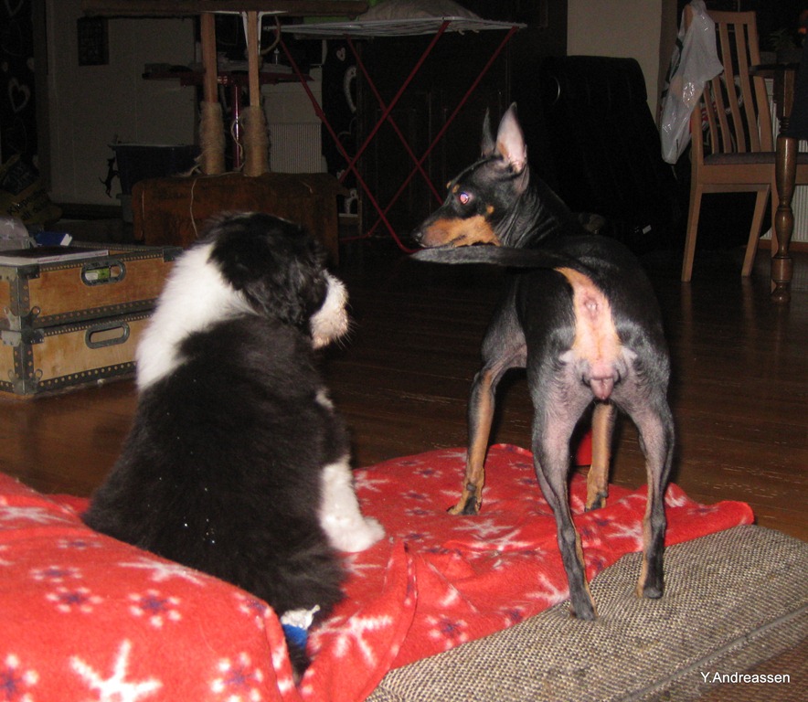 [IMG_1275%255B4%255D.jpg]