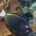 P7014089