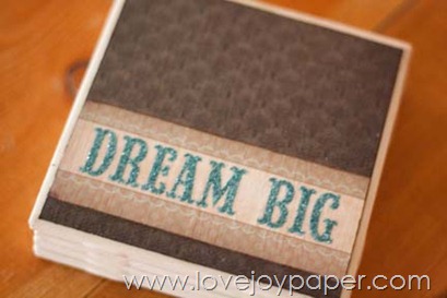 [DreamBigCoasters3%255B3%255D.jpg]